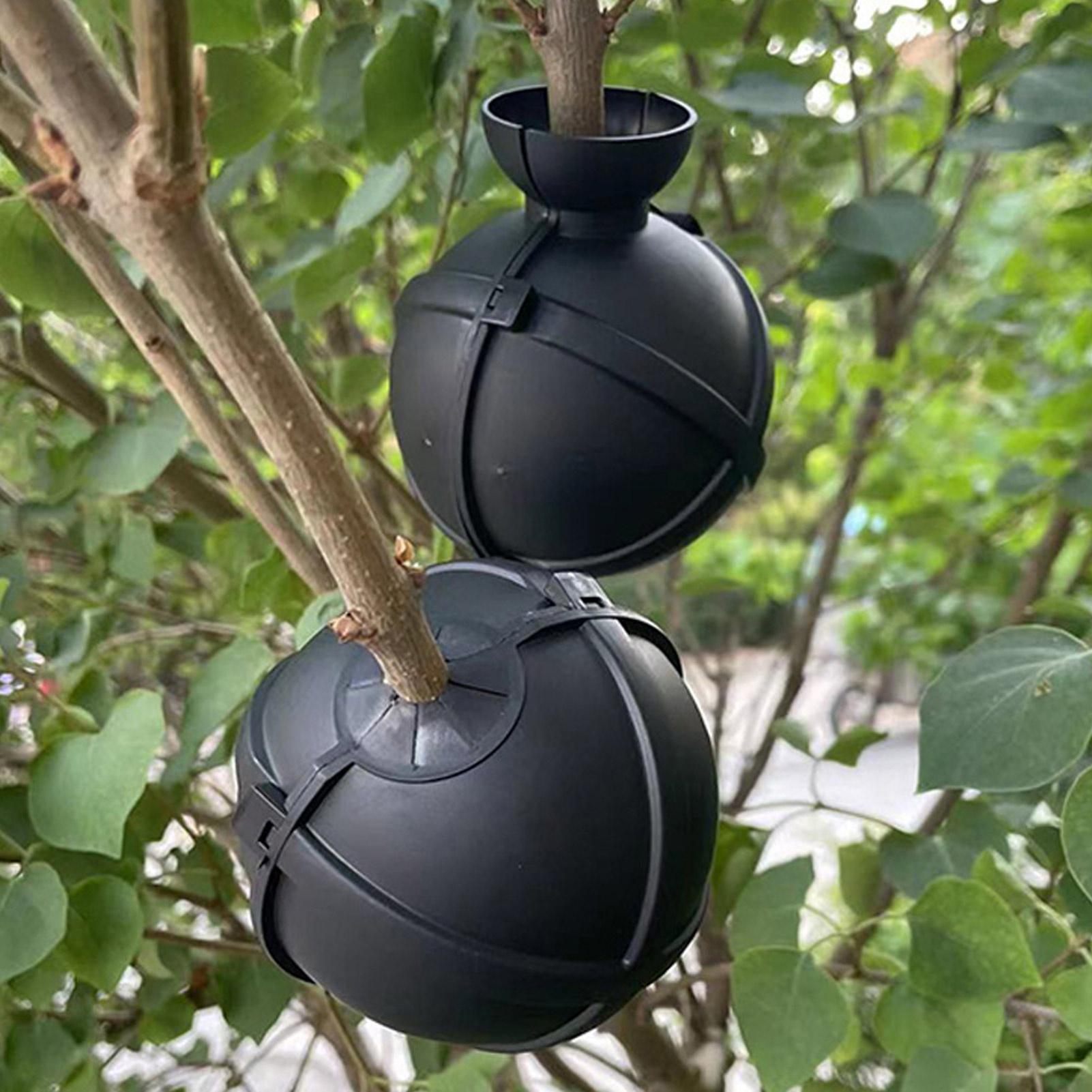 Plant Growth Regulator - Plant Rooting Ball Grafting Box Pods