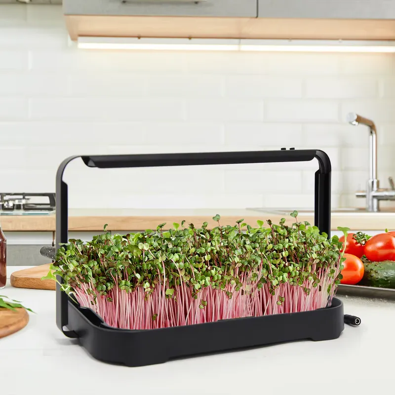 Seed Planter - Hydroponic Tray Indoor Microgreen Microgreen Seeds