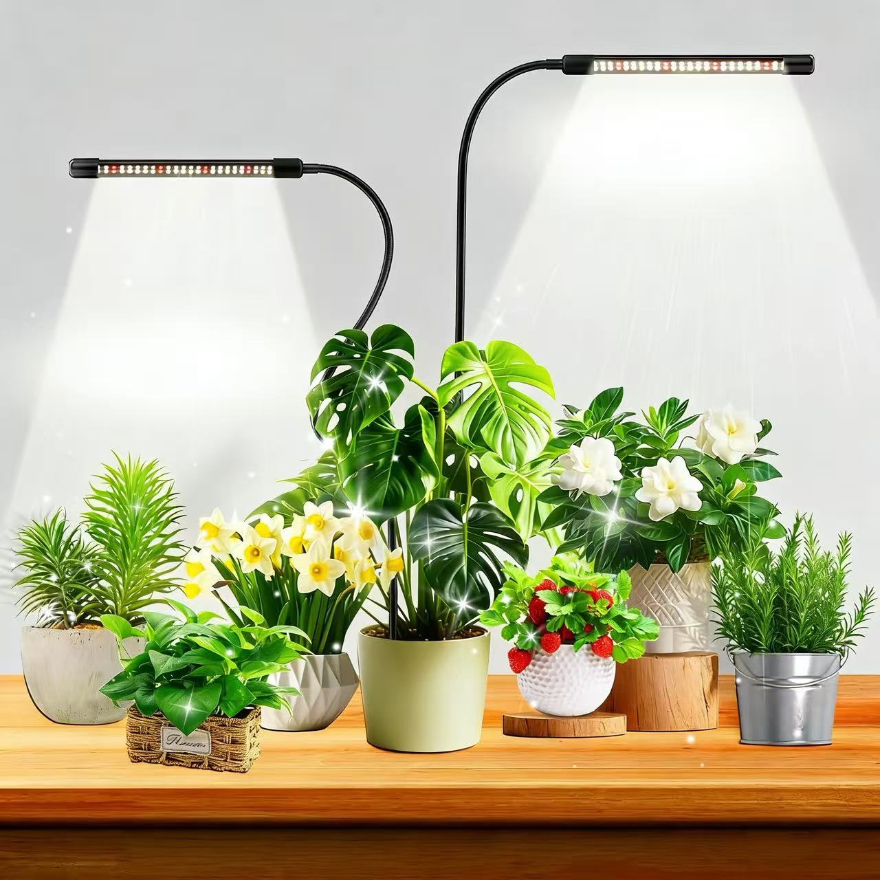 Plant Growth Regulator - 48LEDs Grow Lights for Indoor Plants