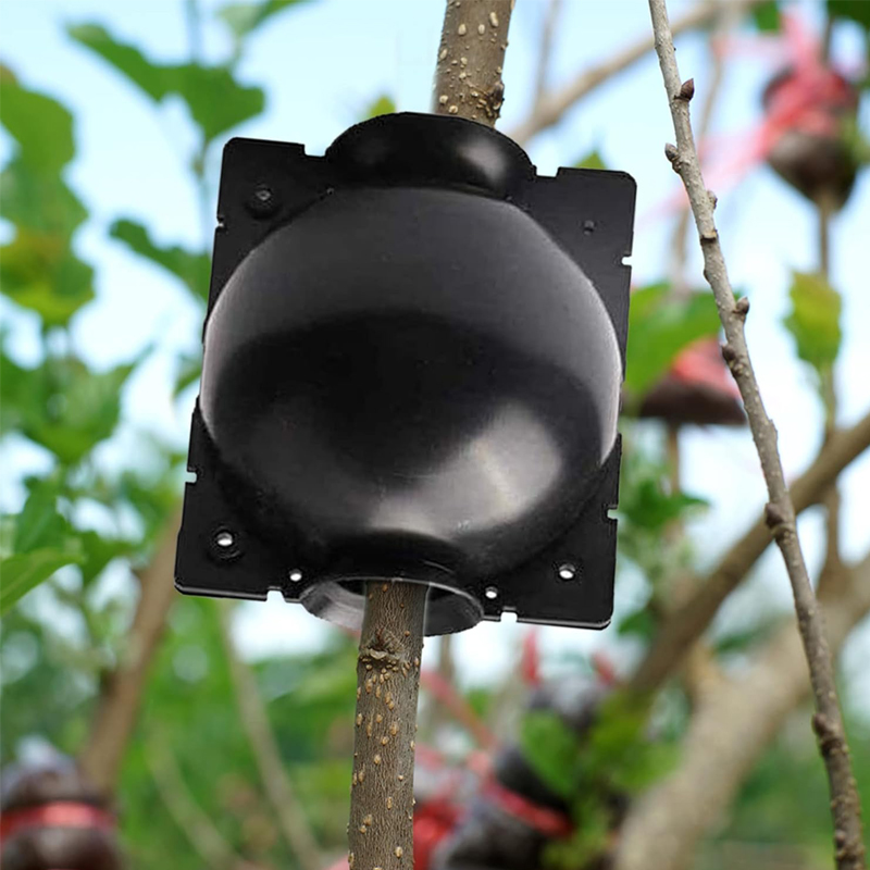 20Pcs Reusable Plant Root Grow - Plant Growth Regulator 评论和价格