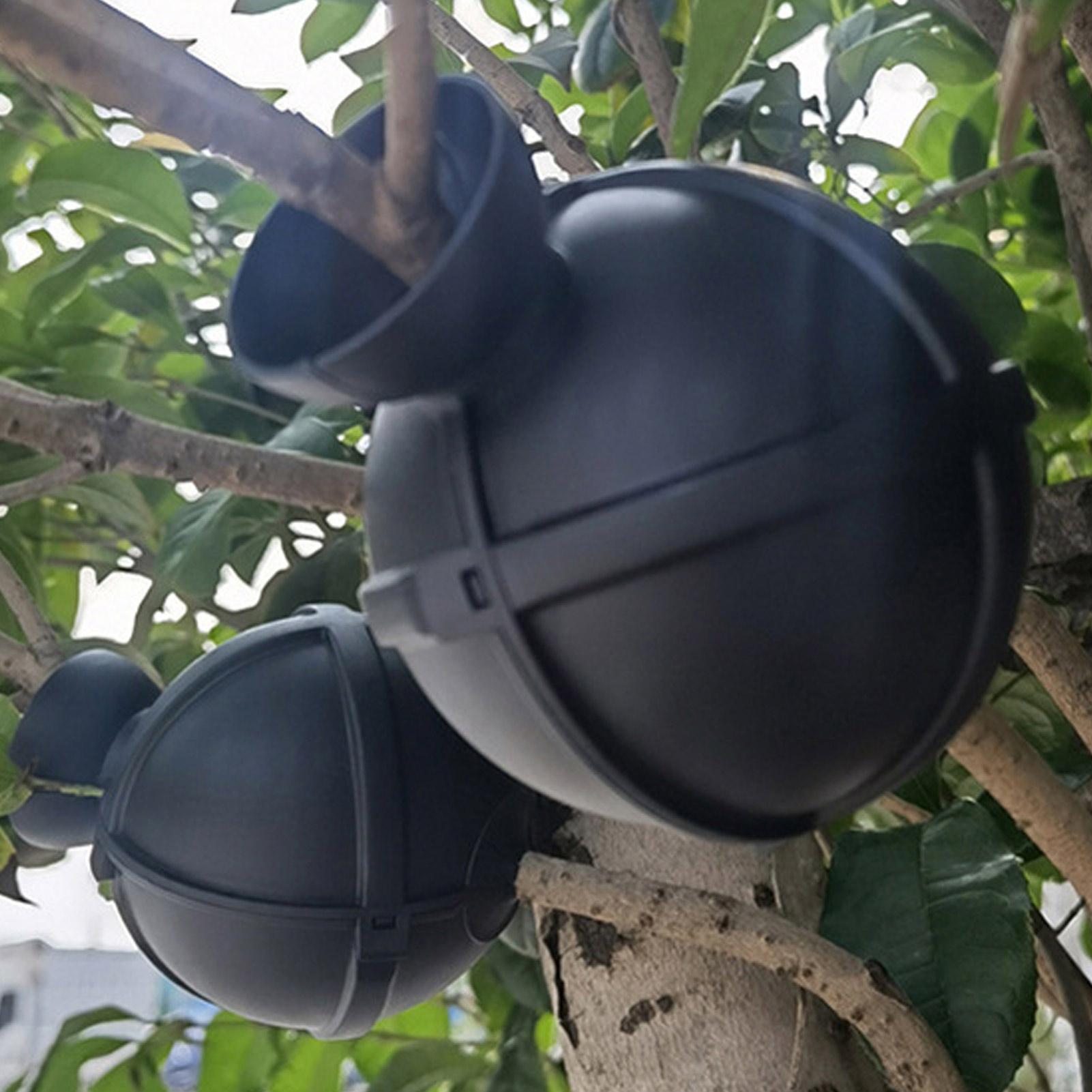 Plant Rooting Ball Grafting Bo - Plant Growth Regulator 评论和价格