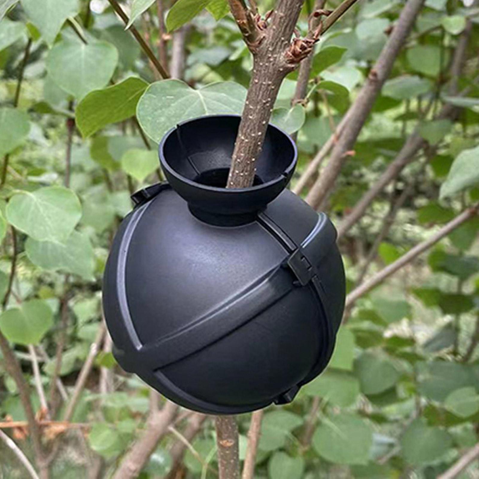 Plant Rooting Ball Grafting Bo - Plant Growth Regulator 评论和价格