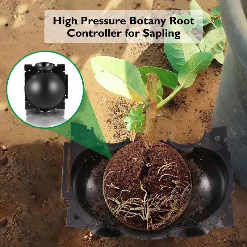 5/30Pcs Plant Rooting Ball Gra - Plant Growth Regulator 评论和价格