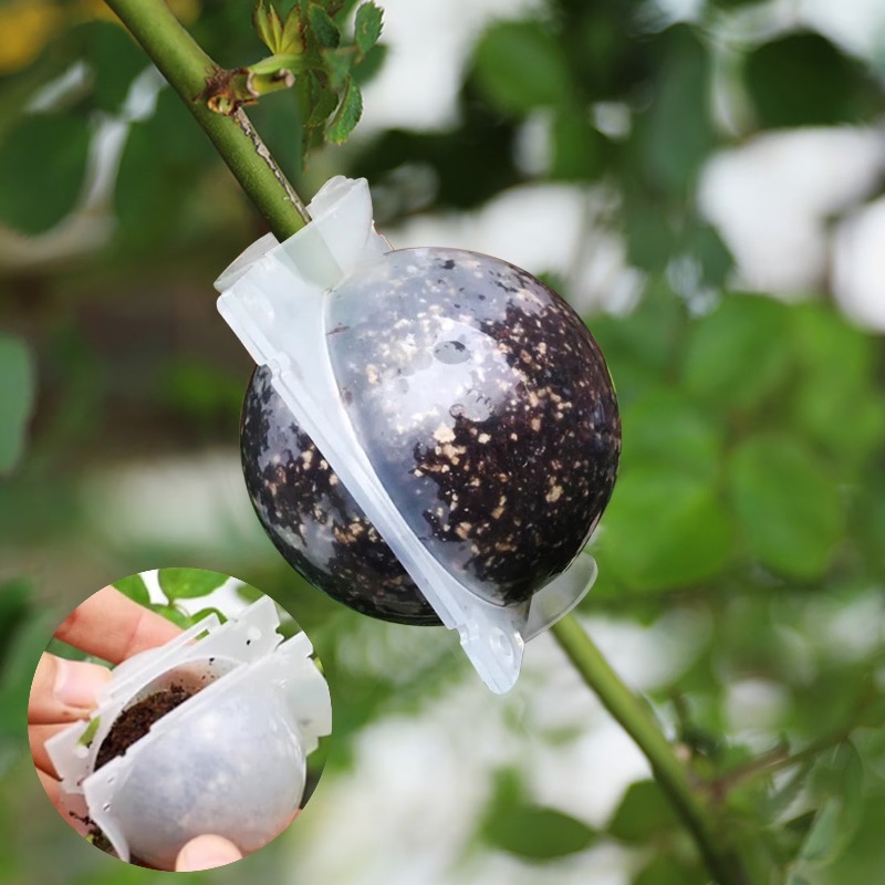5/30Pcs Plant Rooting Ball Gra - Plant Growth Regulator 评论和价格