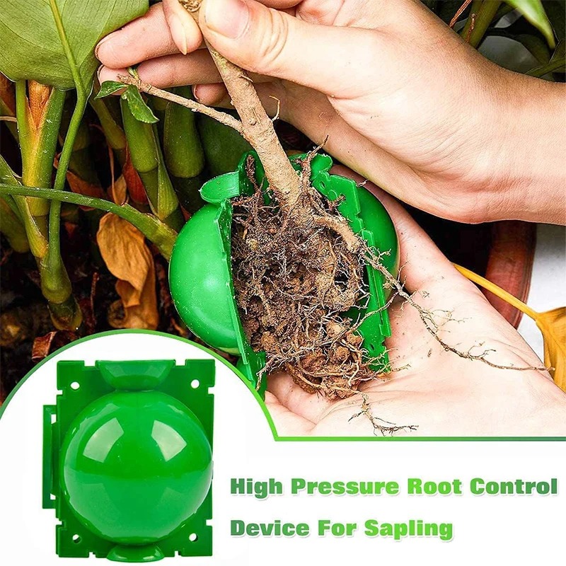 5/30Pcs Plant Rooting Ball Gra - Plant Growth Regulator 评论和价格