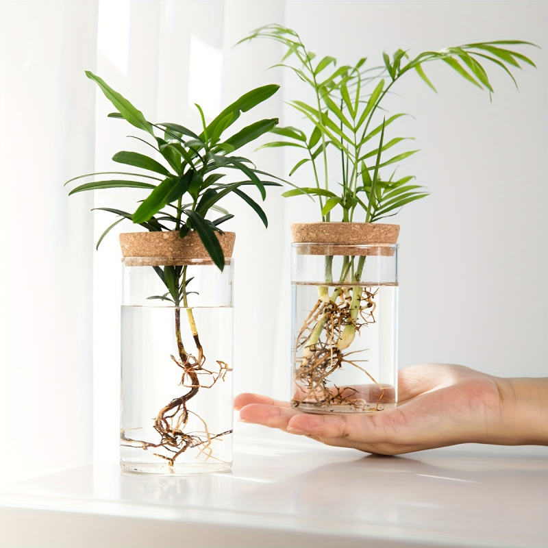 1pc, Hydroponics Plants Deskto - Plant Growth Regulator 评论和价格
