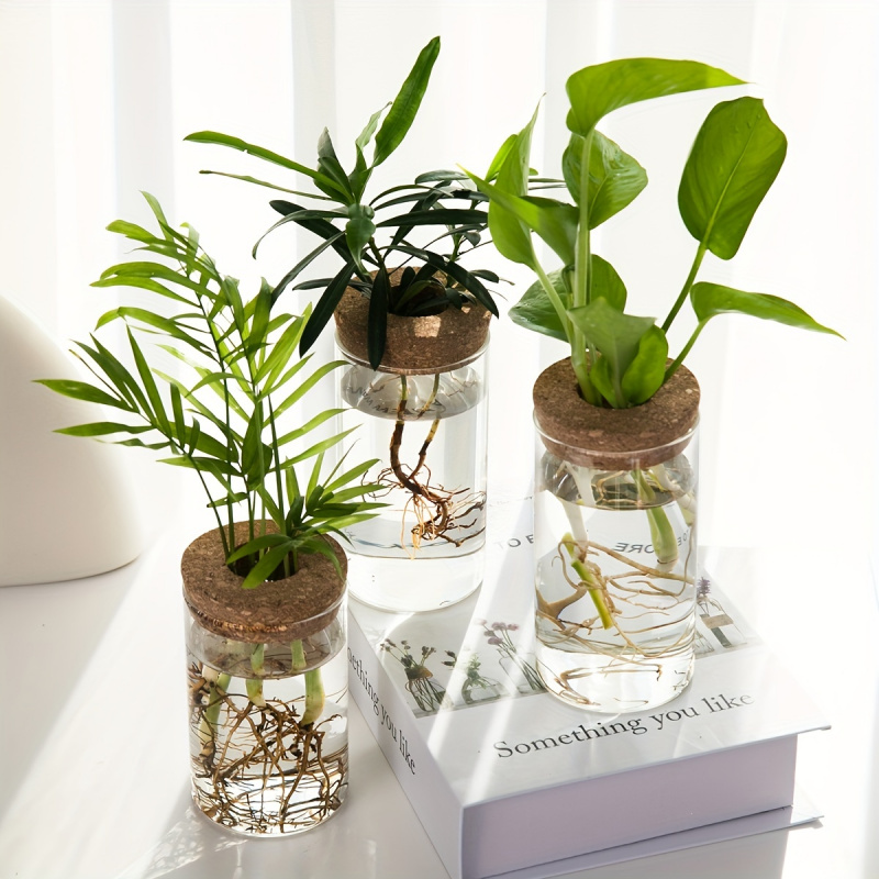 1pc, Hydroponics Plants Deskto - Plant Growth Regulator 评论和价格