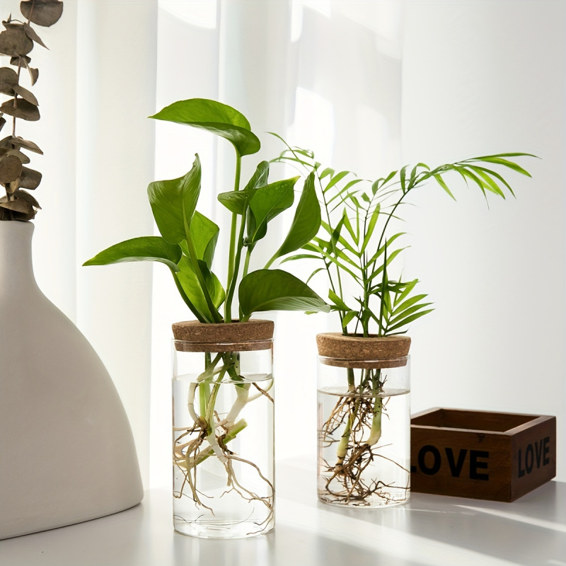 1pc, Hydroponics Plants Deskto - Plant Growth Regulator 评论和价格