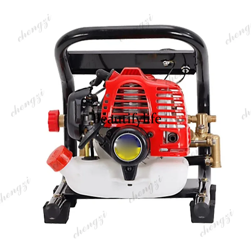 2-Stroke High Pressure Sprayer - Agriculture Gardening Farming 评论和价格