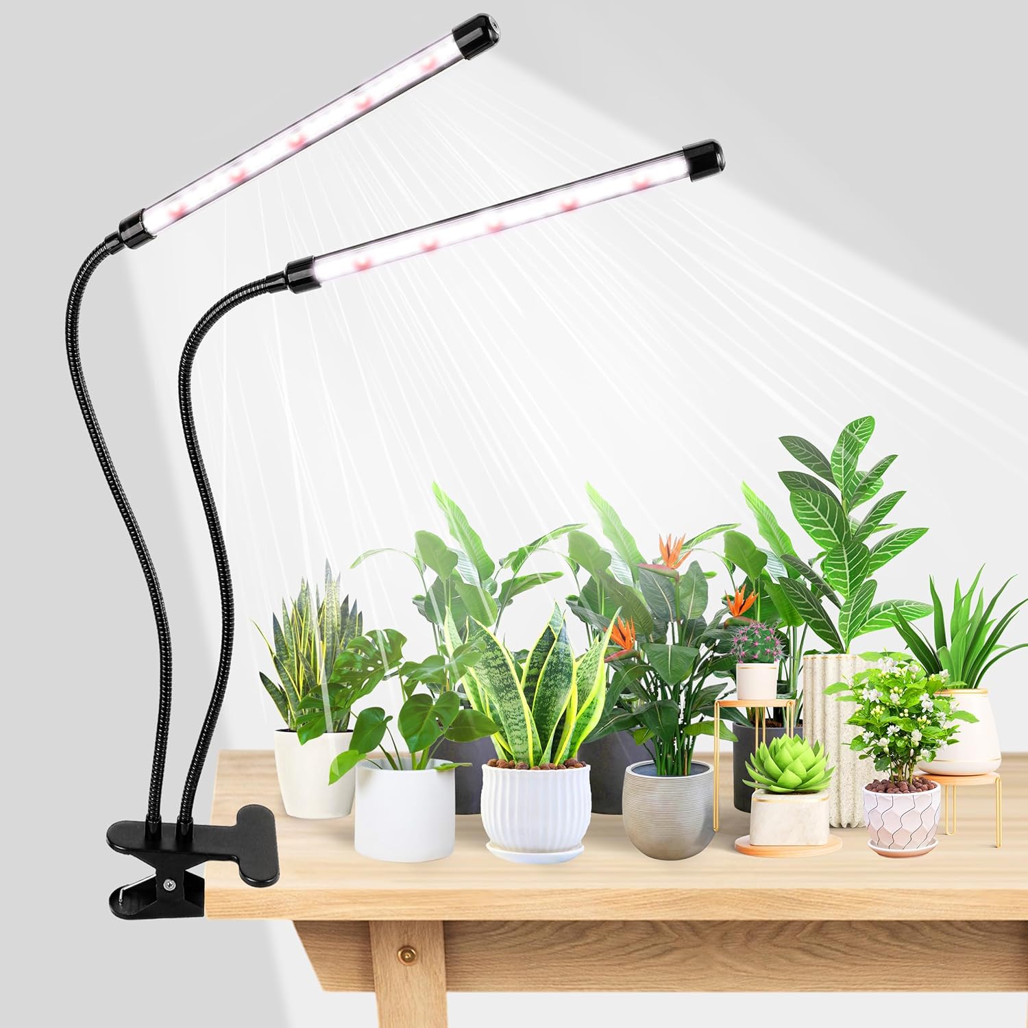 KEBINCPLED USB 5V Clip Plant G - Hydroponic Nft Channel 评论和价格