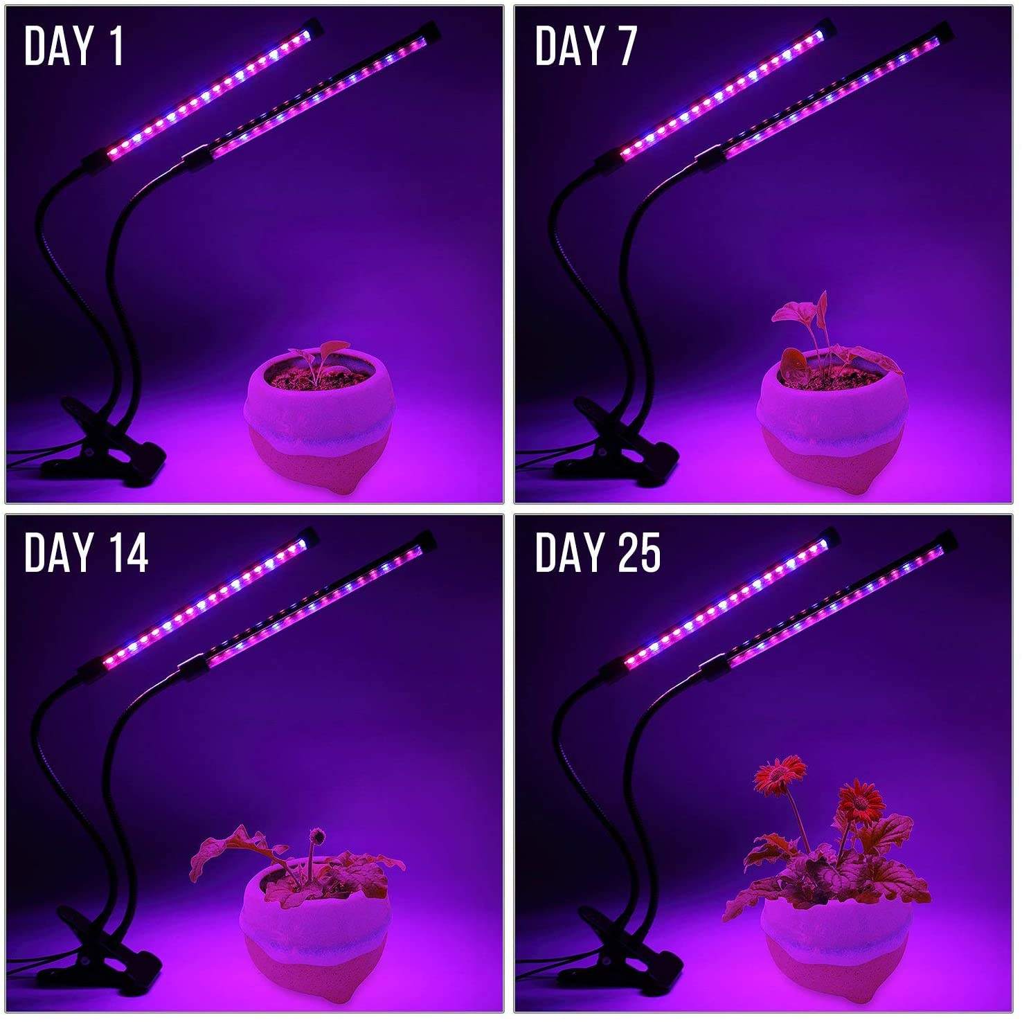 USB LED Plant Grow Light Indoo - Plant Growth Regulator 评论和价格