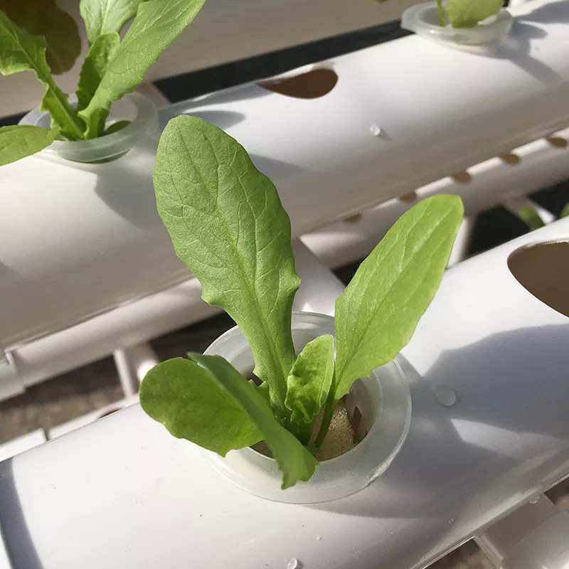 Factory Direct 3-layer Vertica - Hydroponic Nft Channel 评论和价格