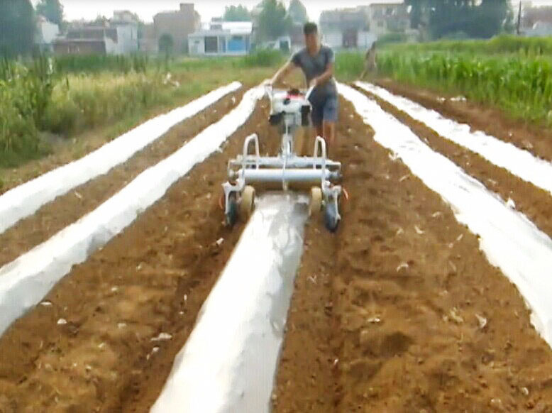 Mini Powered 5HP High Producti - Seed Planter 评论和价格