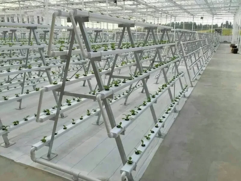 Manufacture Produce Vertical H - Hydroponic Nft Channel 评论和价格