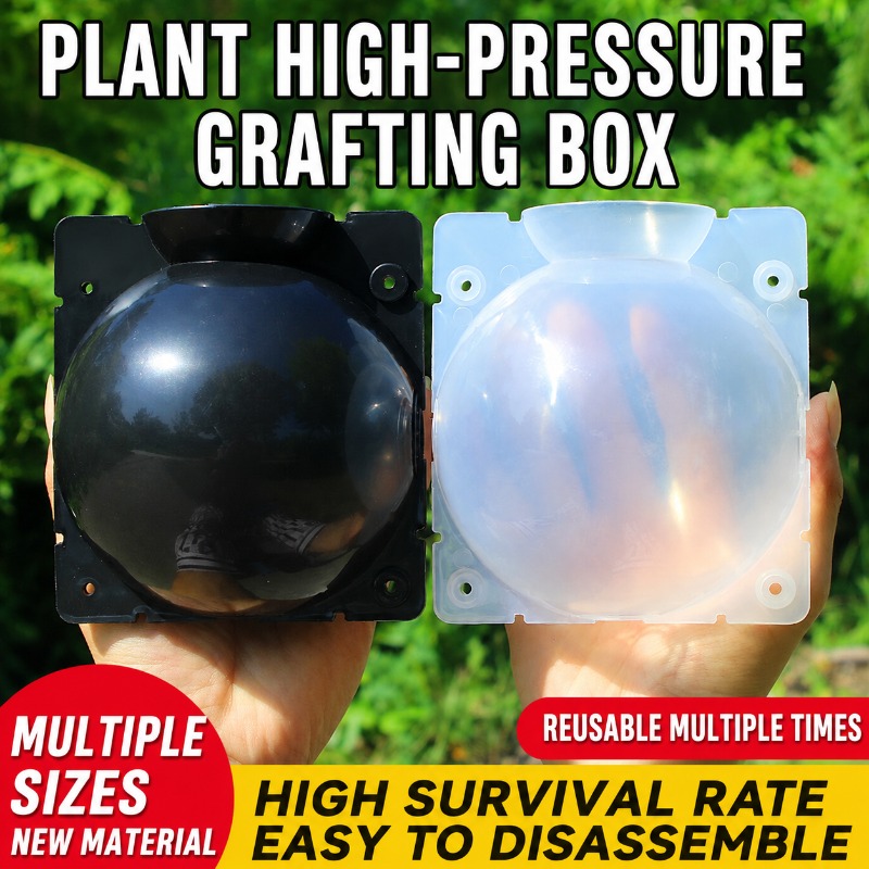 10pcs Plant Propagation Kit: H - Plant Growth Regulator 评论和价格