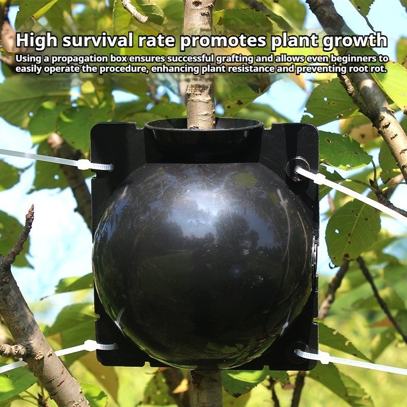 10pcs Plant Propagation Kit: H - Plant Growth Regulator 评论和价格