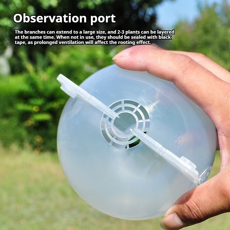 10pcs Plant Propagation Kit: H - Plant Growth Regulator 评论和价格